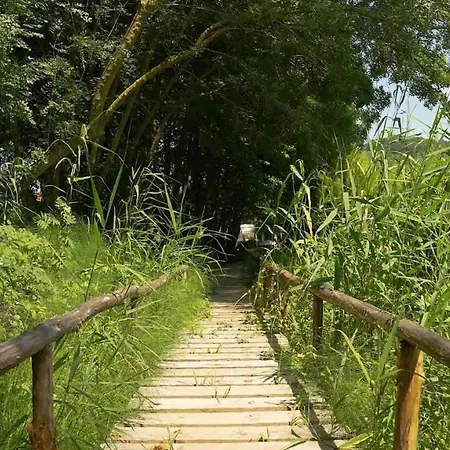 Acquaverde